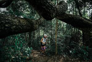 BIB: 
                            <button type="button" onclick="openModal(25663827)" class="btn btn-primary btn-sm float-right btn-popup" data-toggle="modal" data-target=".modal-high-quality">
                        <i class="fas fa-shopping-cart"></i> Add to Cart
                    </button>
                                            <button type="button" onclick="isThisMe(25663827, true)" class="btn btn-success btn-sm float-right btn-popup btn-isme hidden" data-toggle="tooltip" data-placement="bottom" title="นี่คือรูปของคุณใช่ไหม คลิกที่นี่เพื่อเอาเข้าอัลบั้ม">
                        <i class="fas fa-plus"></i> Add to album
                    </button>
                    <button type="button" onclick="isThisMe(25663827, false)" class="btn btn-warning btn-sm float-right btn-popup btn-isnotme hidden">
                        <i class="fas fa-ban"></i> Remove from album
                    </button>